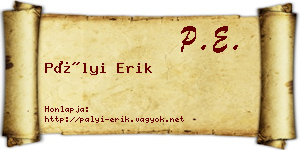 Pályi Erik névjegykártya
