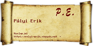 Pályi Erik névjegykártya